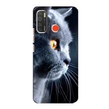 Чехлы с Котиками для TECNO Spark 5 (VPrint) (Серый Кот)
