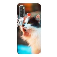 Чехол на Техно Спарк 5 с Котами (VPrint) (Котик с бабочкой)