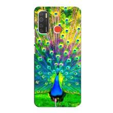 Чехол с птицами на TECNO Spark 5 (VPrint) (Яркий Павлин)