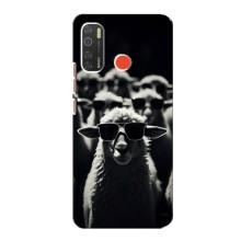 Чохол з принтом стильні тварини для ТЕКНО Спарк 5 (Овечка в окулярах)