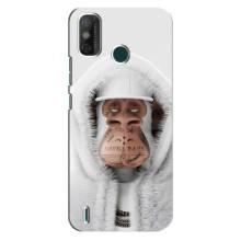 Чехлы с Обезьянами NFT для TECNO Spark 6 GO (KE5) (AlphaPrint) (обезьяна NFT в тату)