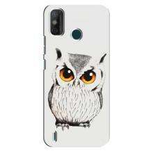 Чехол с птицами на TECNO Spark 6 GO (KE5) (VPrint) (Милая Сова)