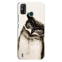 Чехол с птицами на TECNO Spark 6 GO (KE5) (VPrint) (Сова)