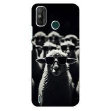 Чехол с принтом стильные животные для Техно Спарк 6 ГО – Овечка в очках