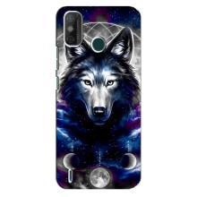Защитные чехлы для Техно Спарк 6 ГО (AlphaPrint) (ХИТ продаж) ВОЛК (Волк)