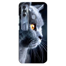 Чехлы с Котиками для TECNO Spark 7 Pro (VPrint) (Серый Кот)
