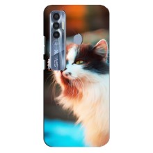 Чехол на Техно Спарк 7 Про с Котами (VPrint) (Котик с бабочкой)