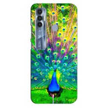 Чехол с птицами на TECNO Spark 7 Pro (VPrint) (Яркий Павлин)