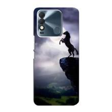 Чехлы с изображением разных животных для TECNO Spark 8 (Лошадь)