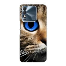 Чехлы с Котиками для TECNO Spark 8 (VPrint) (Глаз кота)