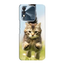 Чехлы с Котиками для TECNO Spark 8 (VPrint) (Прыжок кота)