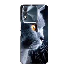 Чехлы с Котиками для TECNO Spark 8 (VPrint) (Серый Кот)