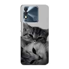 Чехол с рисунком кот на TECNO Spark 8 (Пара котов)