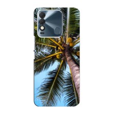 Силиконовый чехол с КАРТИНКАМИ лето для TECNO Spark 8 (AlphaPrint) (Пальма)