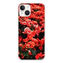 Чехлы с Цветами для Tecno Spark Go 1 (VPrint) (Цветы красные)