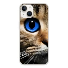 Чехлы с Котиками для Tecno Spark Go 1 (VPrint) (Глаз кота)