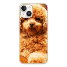 Чехлы с собаками для Tecno Spark Go 1 (VPrint) (Щенок Бишон)