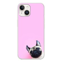Чехлы с собаками для Tecno Spark Go 1 (VPrint) (Смешная собака)