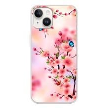 Чехол с принтом САКУРЫ на Tecno Spark Go 1 – Бабочки на сакуре