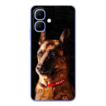 Чехлы с картинками животных Tecno Spark Go 2 (Овчарка)