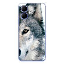 Чехлы с картинками животных Tecno Spark Go 2 (Волк)