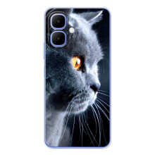 Чехлы с Котиками для Tecno Spark Go 2 (VPrint) (Серый Кот)