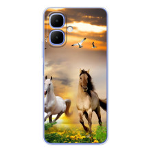 Чехлы с Лошадью дляTecno Spark Go 2 (VPrint) (Лошадки)