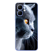 Чехол с милыми котиками на Спарк Го 2 – Брытанский кот
