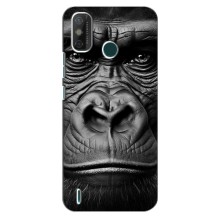 Чохли з Горилою на Техно Спарк го (2021) – Чорна мавпа
