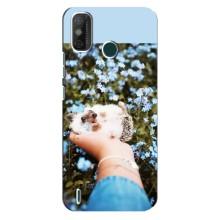 Чохли з зображенням різних тварин на TECNO Spark GO (2021) (Їжачок в руці)