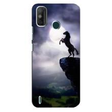 Чохли з зображенням різних тварин на TECNO Spark GO (2021) (Кінь)