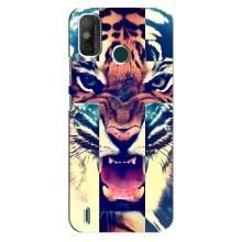 Чохли з зображенням різних тварин на TECNO Spark GO (2021) (Яскравий Тигр)