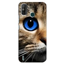 Чехлы с Котиками для TECNO Spark GO (2021) (VPrint) (Глаз кота)