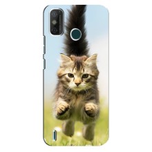 Чехлы с Котиками для TECNO Spark GO (2021) (VPrint) (Прыжок кота)