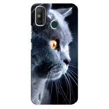 Чехлы с Котиками для TECNO Spark GO (2021) (VPrint) (Серый Кот)