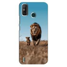 Чохол Король лев на ТЕКНО Спарк ҐО (2021) (Мусафа і Сімба)