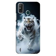 Чохол з картинкою 'Хижаки' для TECNO Spark GO (2021) – Тигр