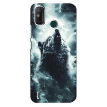 Чехол с картинкой «Хищники» для TECNO Spark GO (2021)