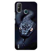Чохол з картинкою 'Хижаки' для TECNO Spark GO (2021) – Змія