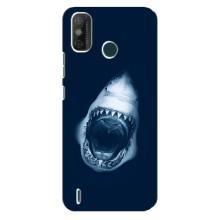 Силіконовий бампер з картинкою звірів для TECNO Spark GO (2021) (Пащу Акули)
