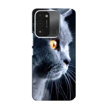 Чехлы с Котиками для TECNO Spark GO (2022) (VPrint) (Серый Кот)