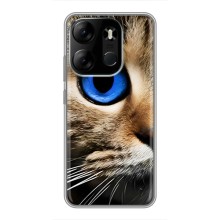 Чехлы с Котиками для Tecno Spark Go 2023 (BF7) (VPrint) (Глаз кота)