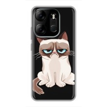 Чехол с принтом для Tecno Spark Go 2023 (BF7) (AlphaPrint) Модные коты (Грустный кот)