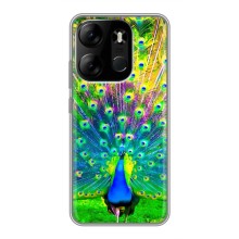 Чехол с птицами на Tecno Spark Go 2023 (BF7) (VPrint) (Яркий Павлин)