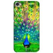 Чехол с птицами на Meizu U20 (VPrint) (Яркий Павлин)