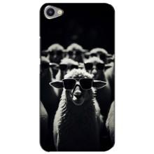 Чехол с принтом стильные животные для Мейзу Ю20 – Овечка в очках