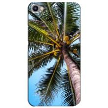 Силиконовый чехол с КАРТИНКАМИ лето для Meizu U20 (AlphaPrint) – Пальма