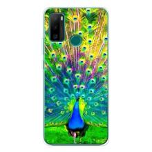 Чехол с птицами на Ulefone Note 10P (VPrint) (Яркий Павлин)