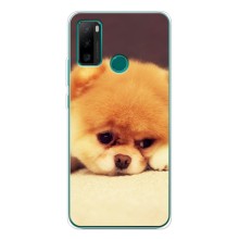 Чохол (ТПУ) Милі песики для Ulefone Note 10P (Померанский шпіц)