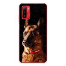 Чехлы с картинками животных Ulefone Note 12P (Овчарка)
